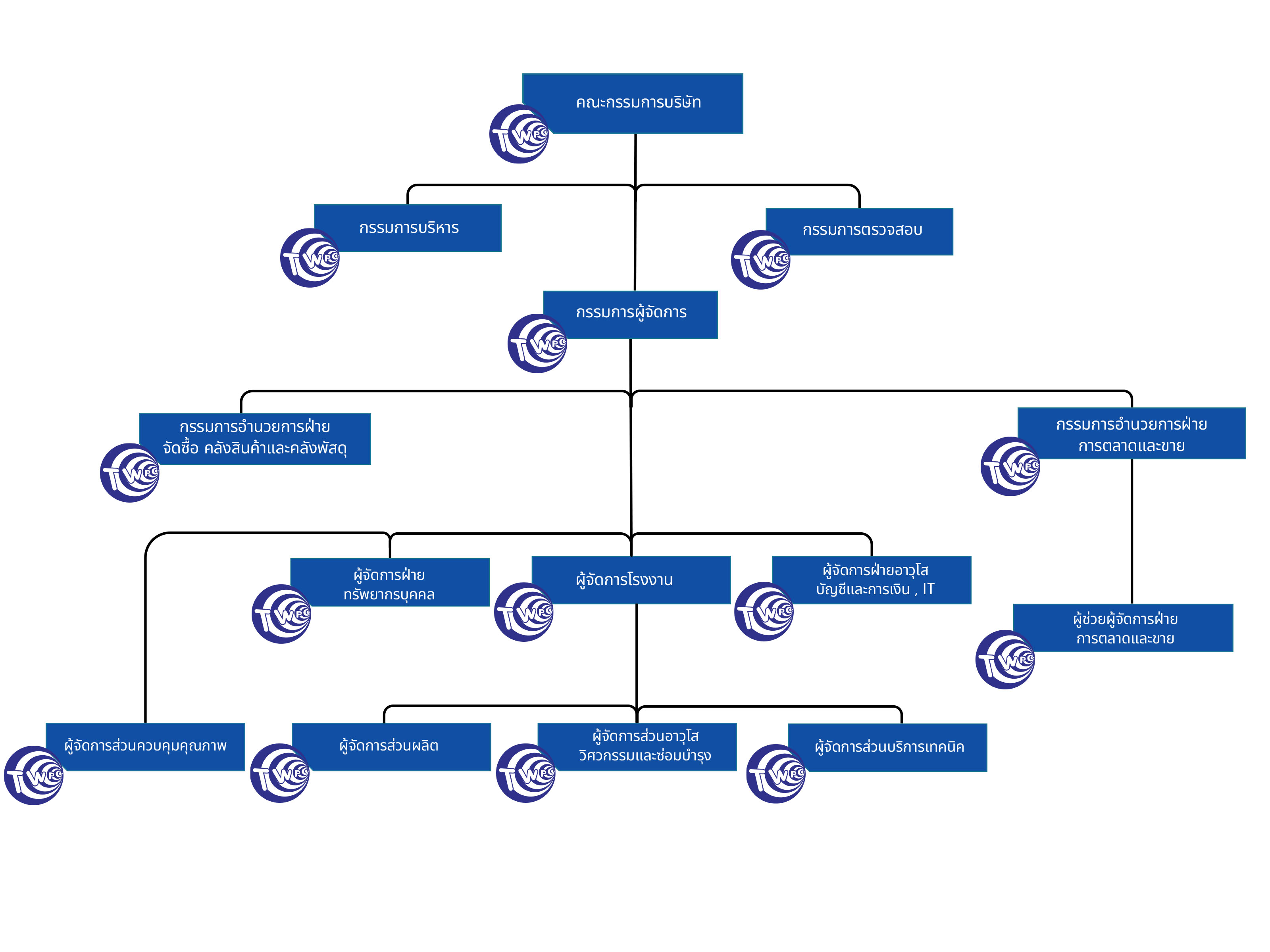 Thai Wire Products organization chart